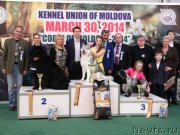 Превью фото № 150151