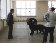 Превью фото № 150180