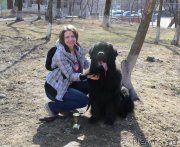 Превью фото № 150184