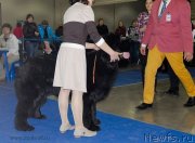 Превью фото № 150186