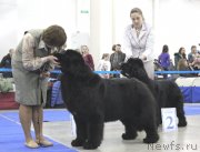 Превью фото № 150251