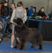 Превью фото № 150258