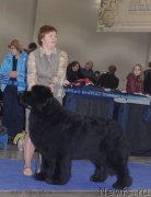 Превью фото № 150261