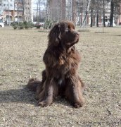 Превью фото № 150401