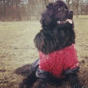 Превью фото № 150405