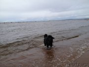 Превью фото № 150411