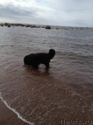 Превью фото № 150412