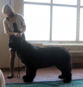 Превью фото № 150471