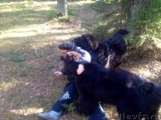 Превью фото № 150518