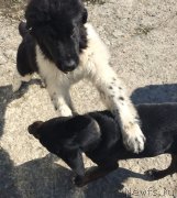 Превью фото № 150549