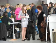 Превью фото № 150596