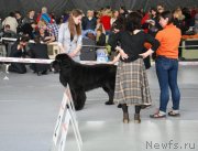 Превью фото № 150597