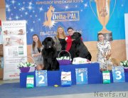 Превью фото № 150598