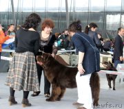 Превью фото № 150631