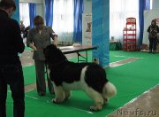 Превью фото № 150647