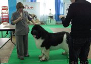 Превью фото № 150648