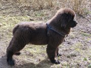 Превью фото № 150662