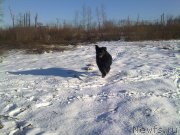 Превью фото № 150695