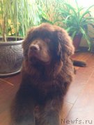 Превью фото № 150699