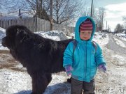 Превью фото № 150784