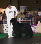 Превью фото № 150831