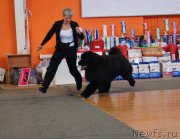 Превью фото № 150889