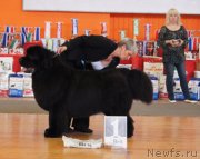 Превью фото № 150897