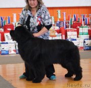 Превью фото № 150901