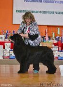 Превью фото № 151053