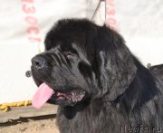 Превью фото № 151079