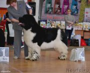 Превью фото № 151083