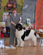 Превью фото № 151088