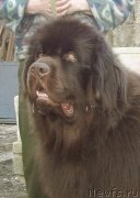 Превью фото № 151118