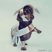 Превью фото № 151134