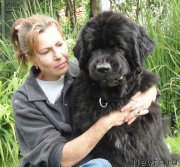 Превью фото № 151215