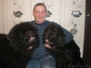 Превью фото № 151219