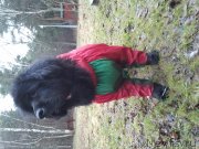 Превью фото № 151221