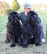 Превью фото № 151362