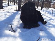 Превью фото № 151455