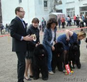 Превью фото № 151463