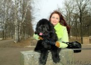 Превью фото № 151503