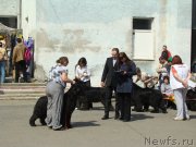 Превью фото № 151516