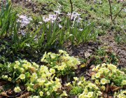 Превью фото № 151533