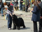 Превью фото № 151571