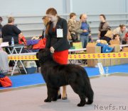 Превью фото № 151597