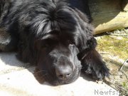 Превью фото № 151611