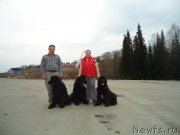 Превью фото № 151675