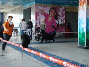 Превью фото № 151698