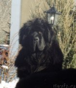 Превью фото № 151743