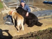 Превью фото № 151791